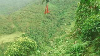 Колумбийки в лесу лижут друг другу языки и трахаются с незнакомцами в обмен на финансовую помощь.