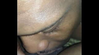 Başlarken benim kedi yaladı